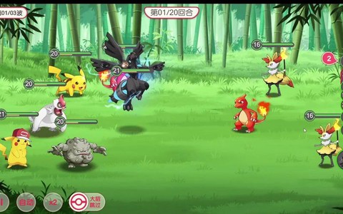 口袋妖怪格斗系怕什么