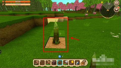 迷你世界竹子怎么种[图2]