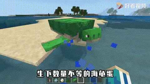 我的世界海龟蛋怎么孵[图2]