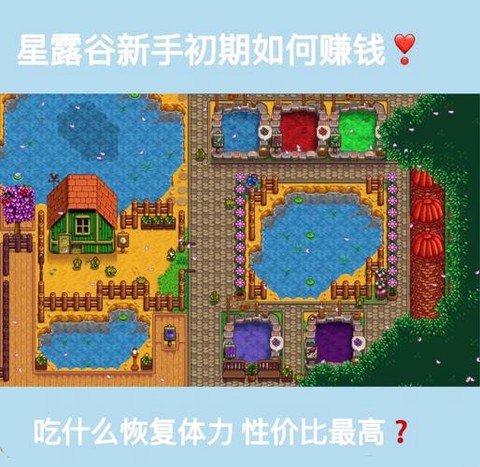 星露谷物语怎么赚钱快[图1]
