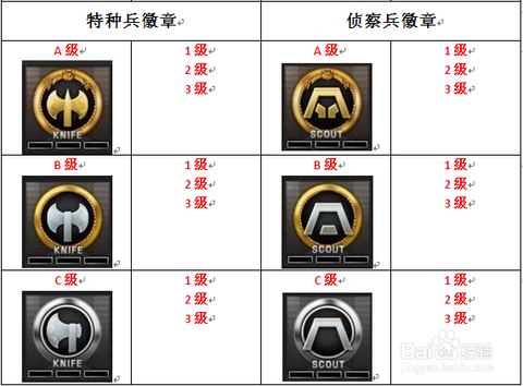 穿越火线队徽怎么设置[图2]