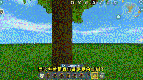 迷你世界树怎么长得快[图2]